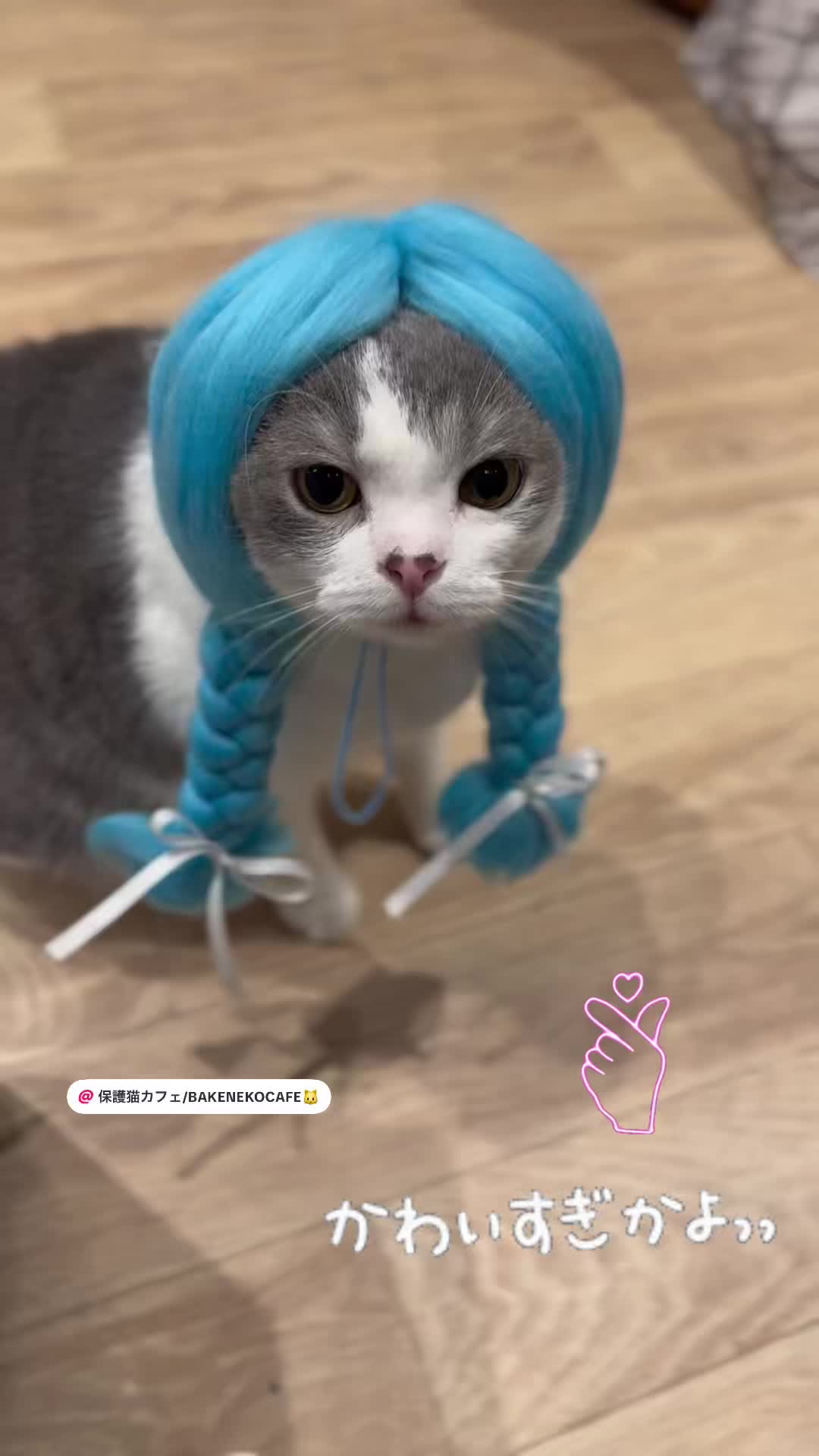 @ラブリーデイ