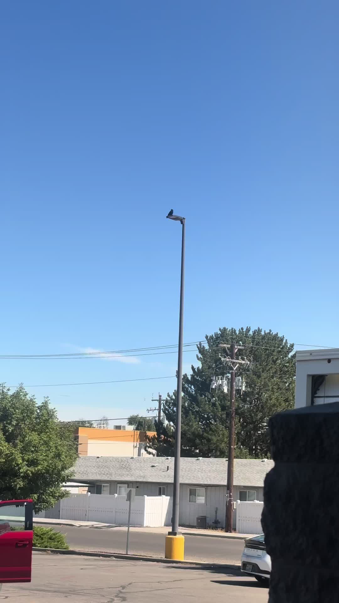 @Luxx.sol94 🌞🌜