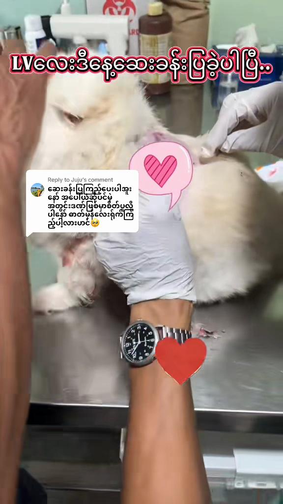 @MomOfPearlDora💝