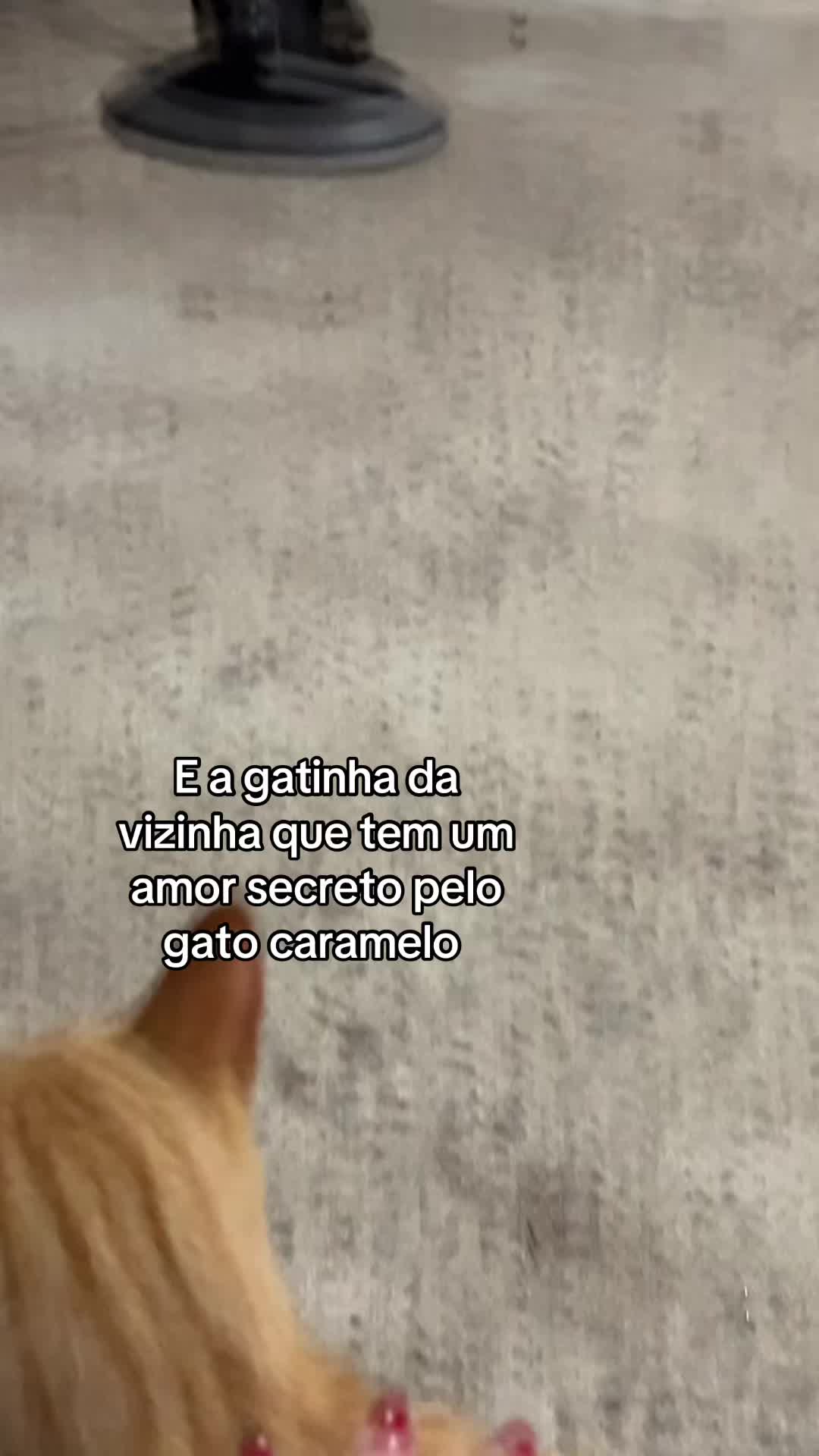 @thabata nuvolara