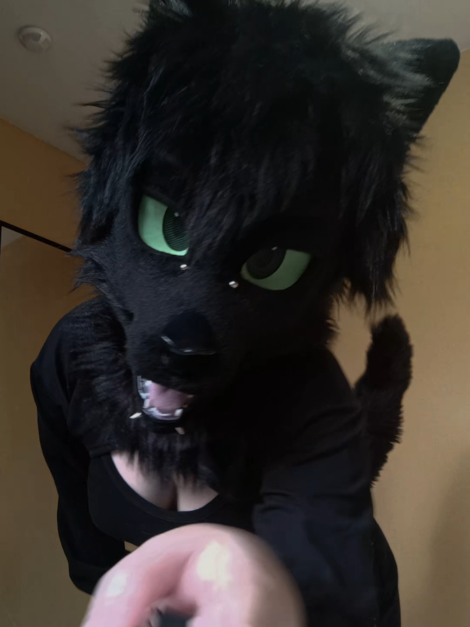 @LeraWolf_workshop