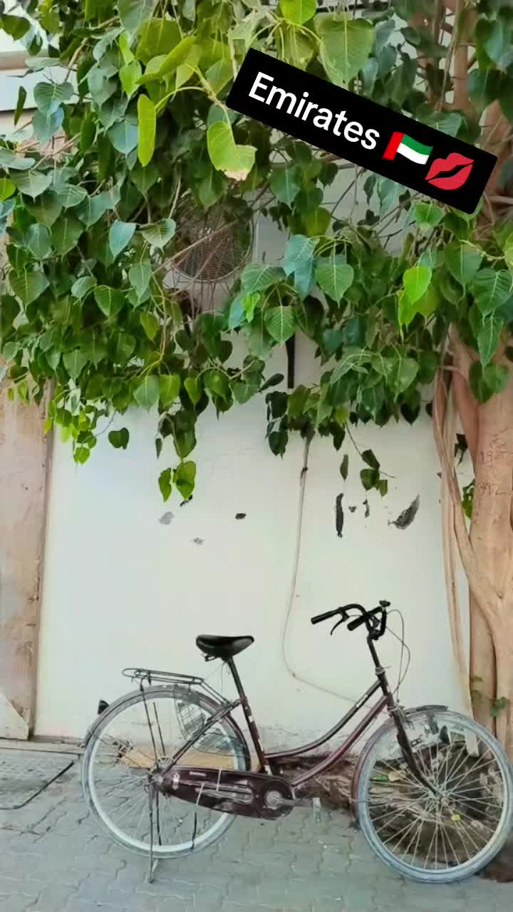 @🇦🇪✈️🇵🇰کنگ بوس سرور جکرانی