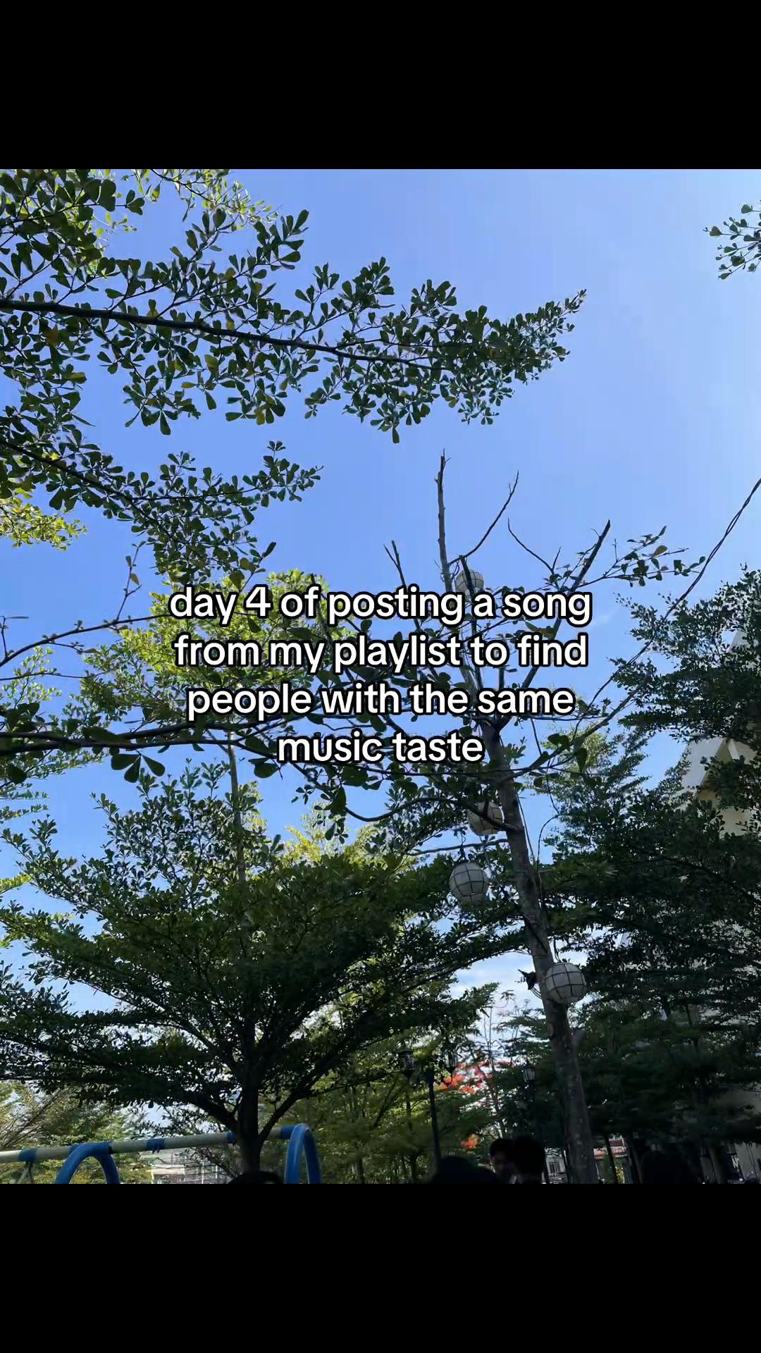 @pachi