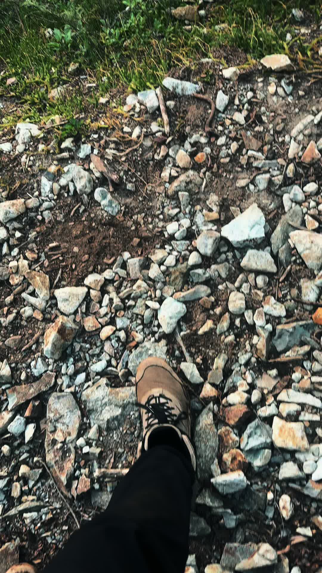 @🌲 James | WA 🏔️
