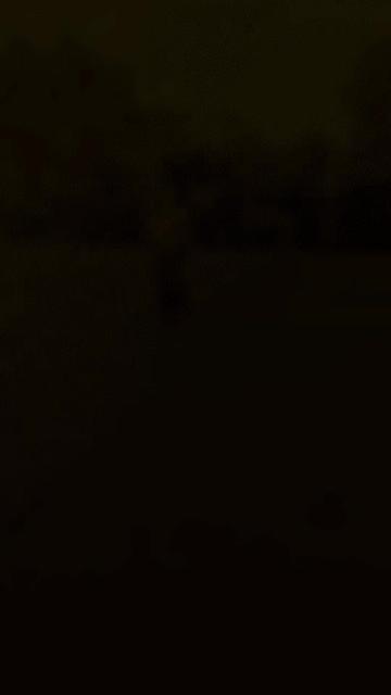 @Vindya__🫐
