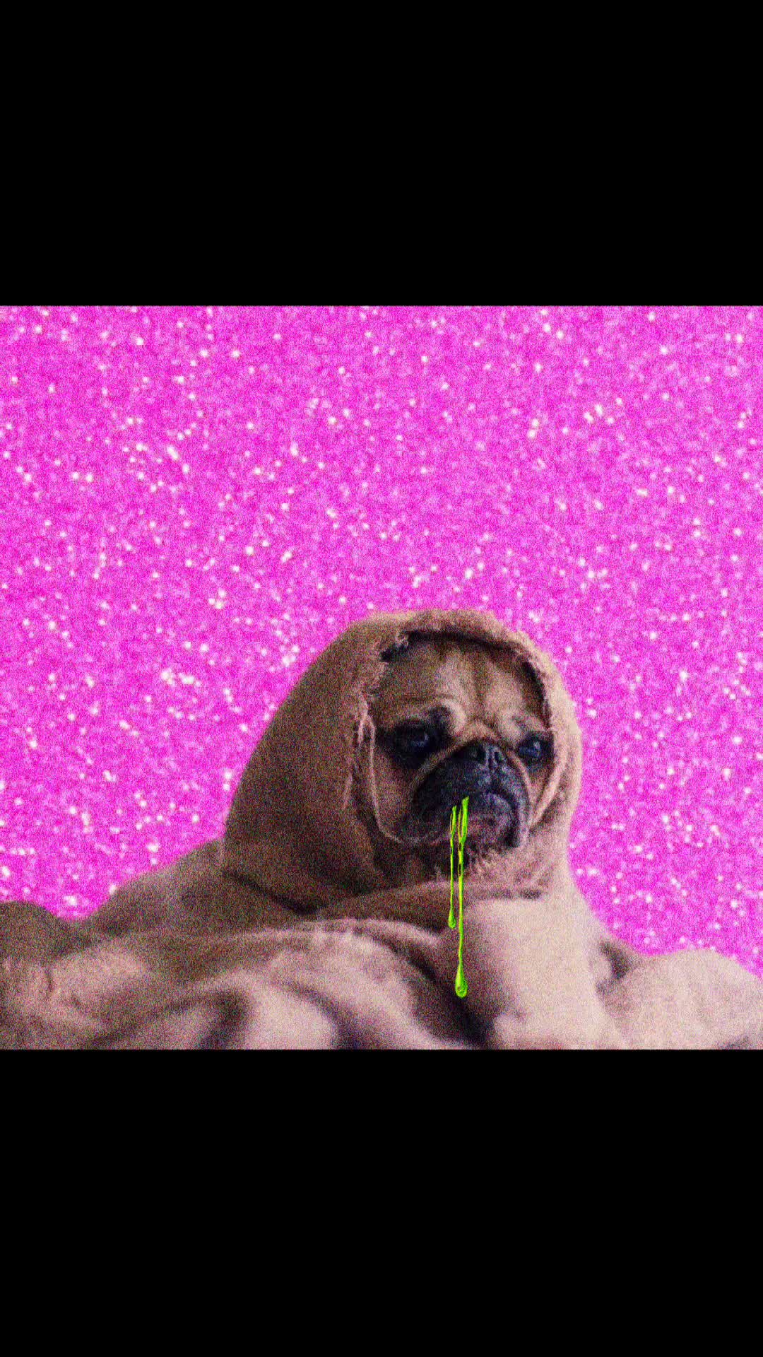 @💖Puppy Sick💖
