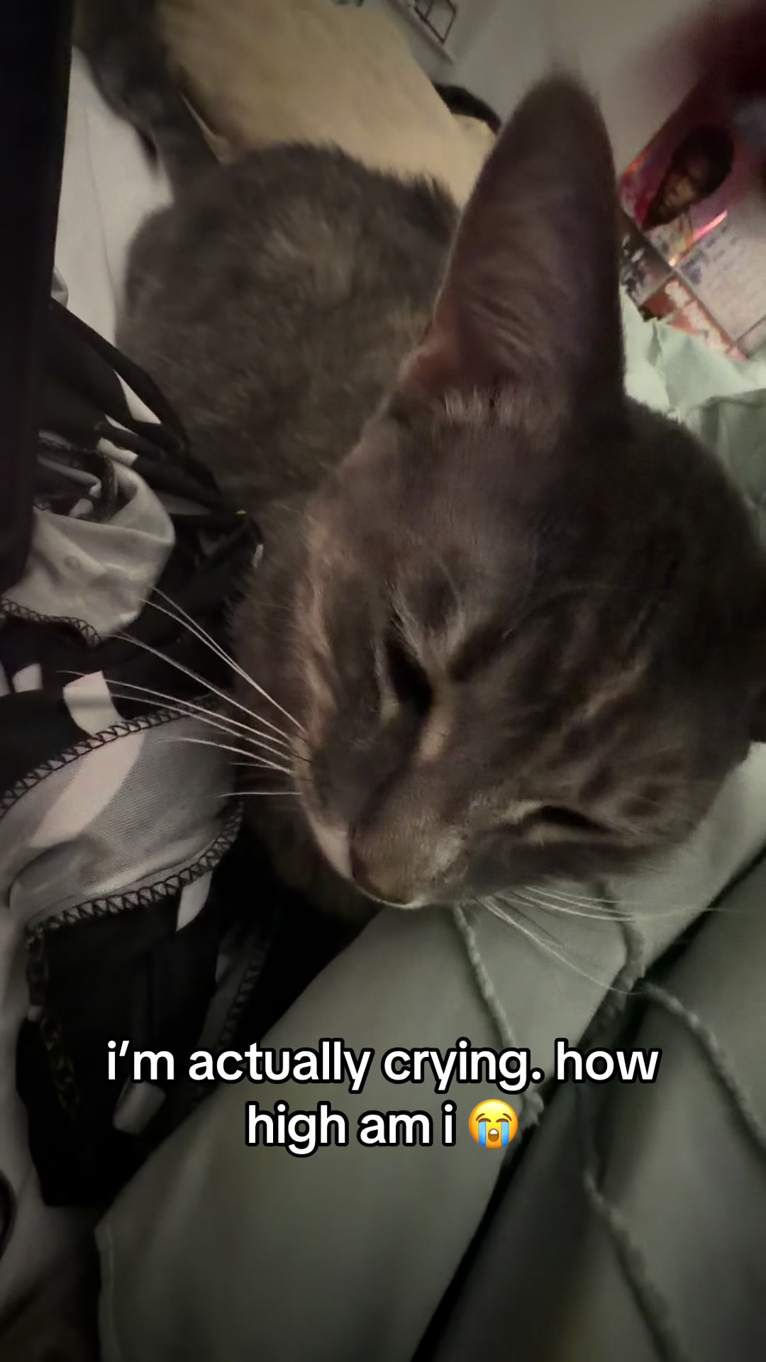 @mya <3