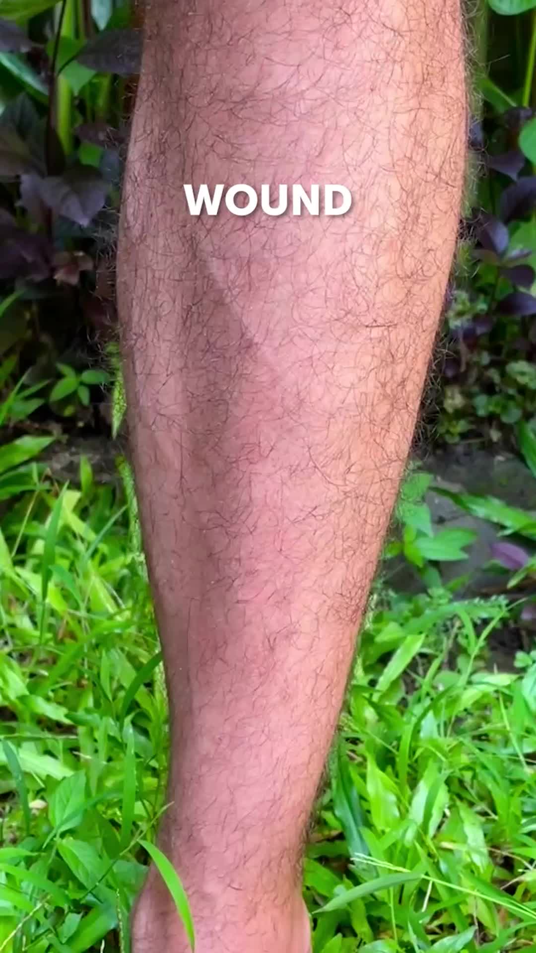 @5-Minute Crafts shorts