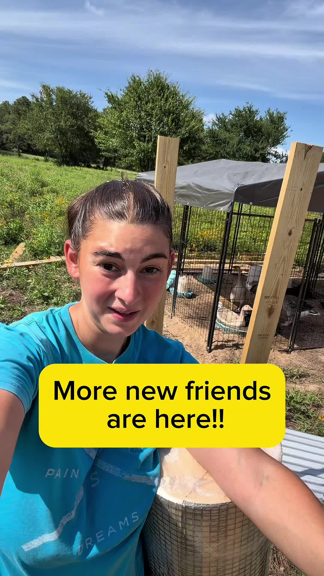 @Heart & Hoof Homestead
