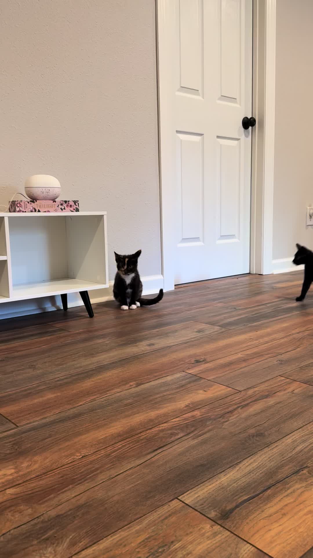 @KrazyKatz
