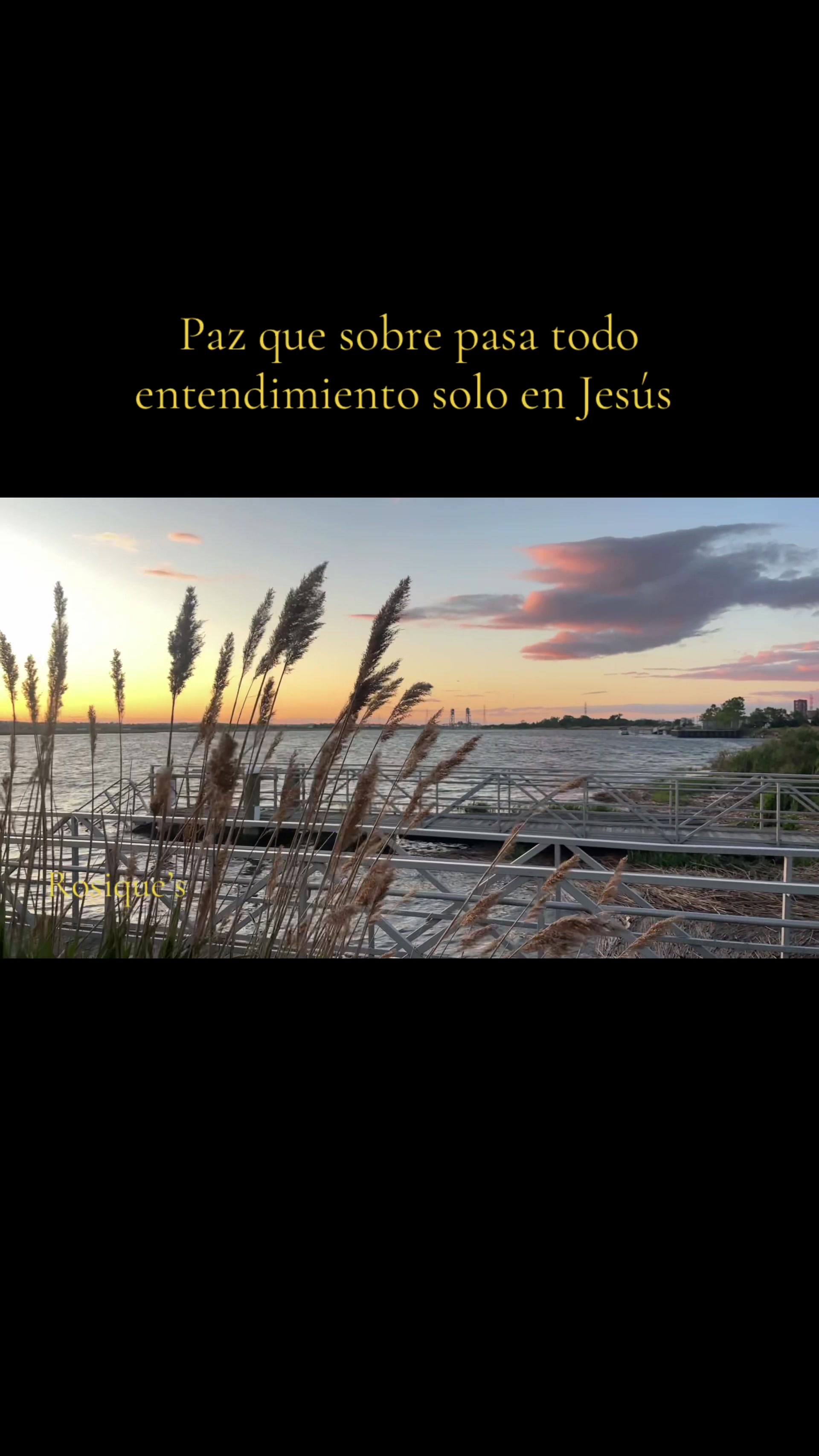 @Rosique NY