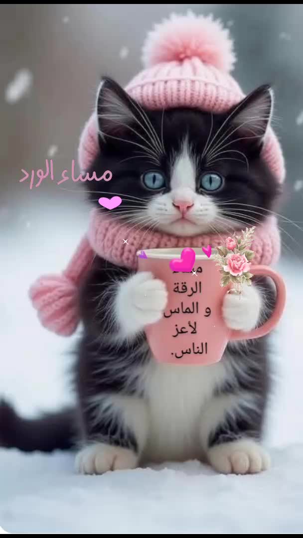 @meryflower001