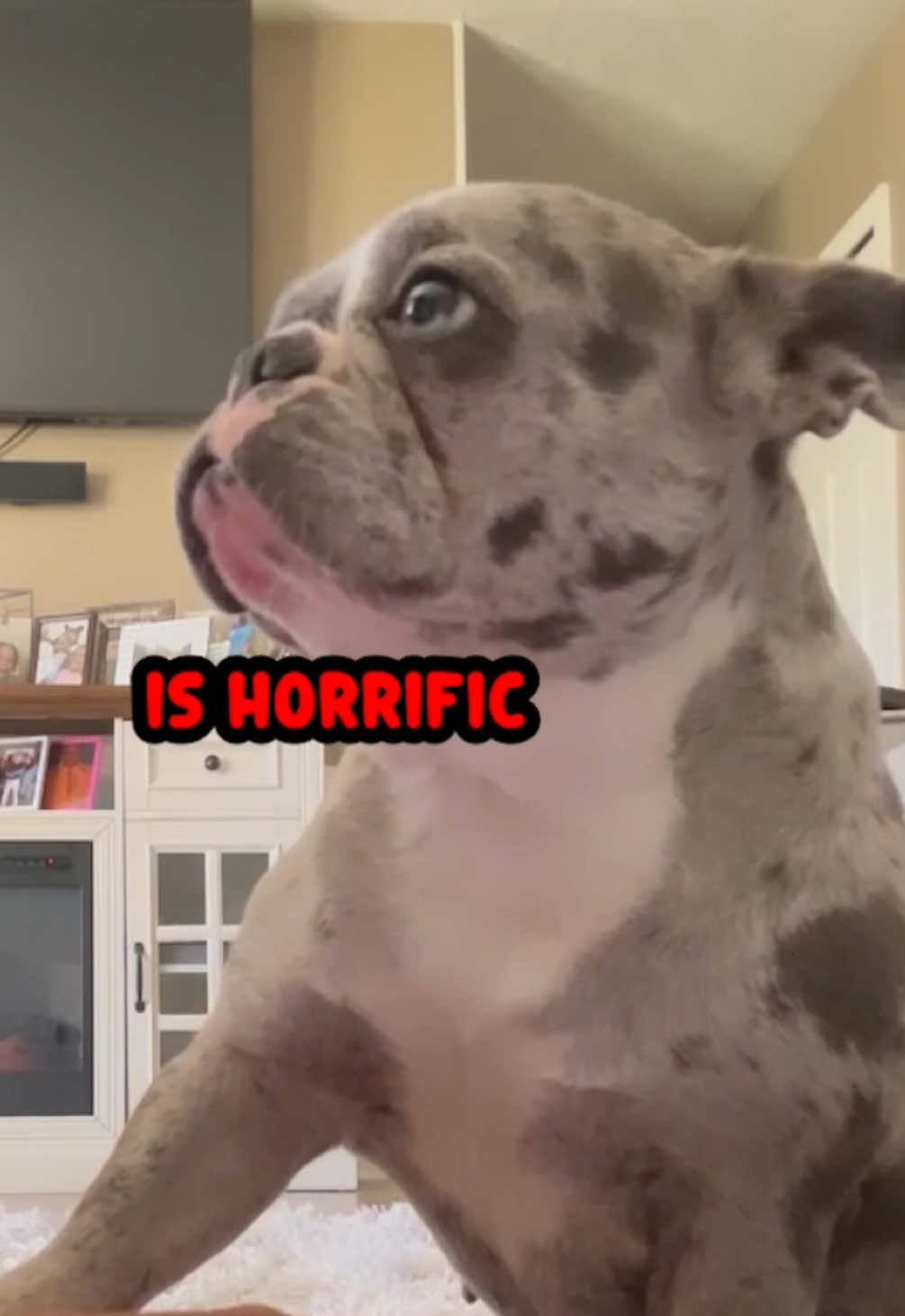 @Rufus Goodboy