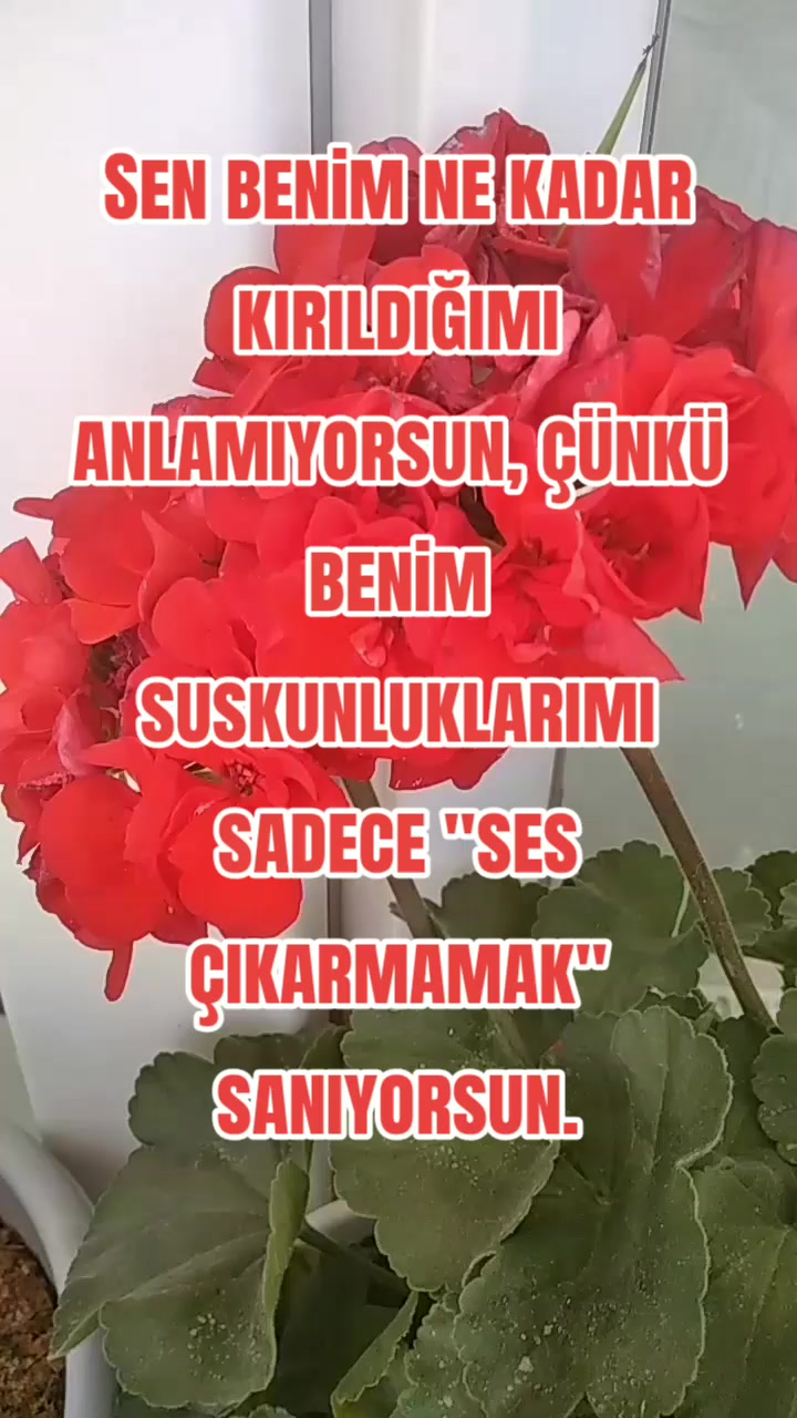 @NEFİS YEMEK TARİFLERİ