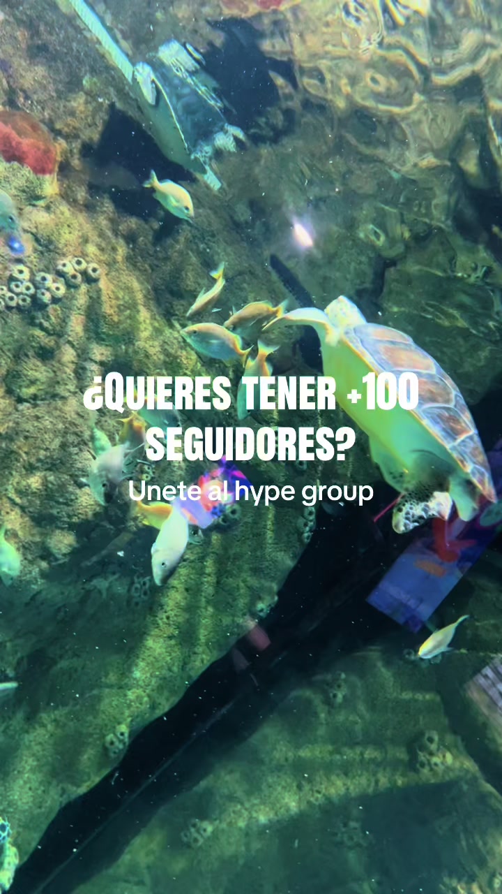 @monkey_hypegroup