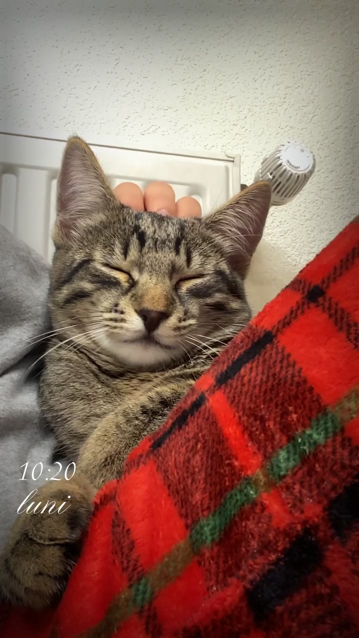 @Șerban Bianca