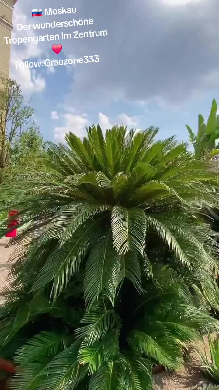 @grauzone333