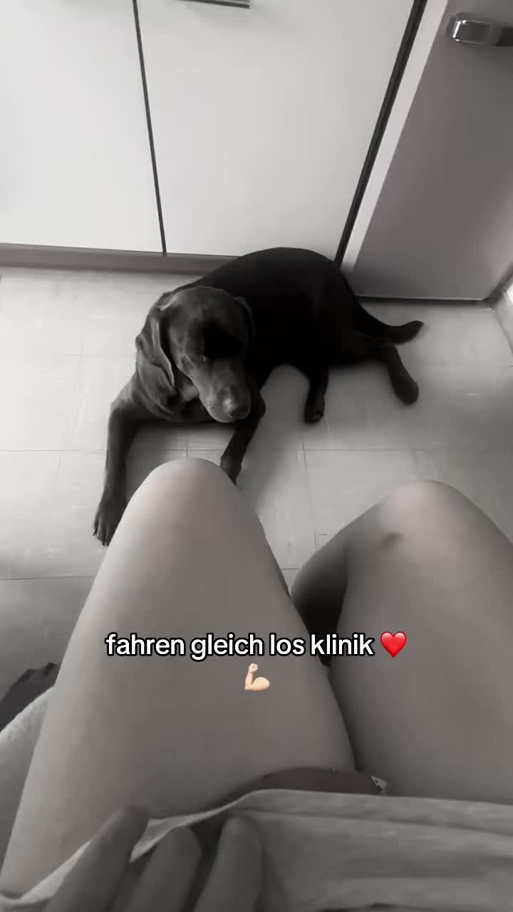 @teamlidialissy