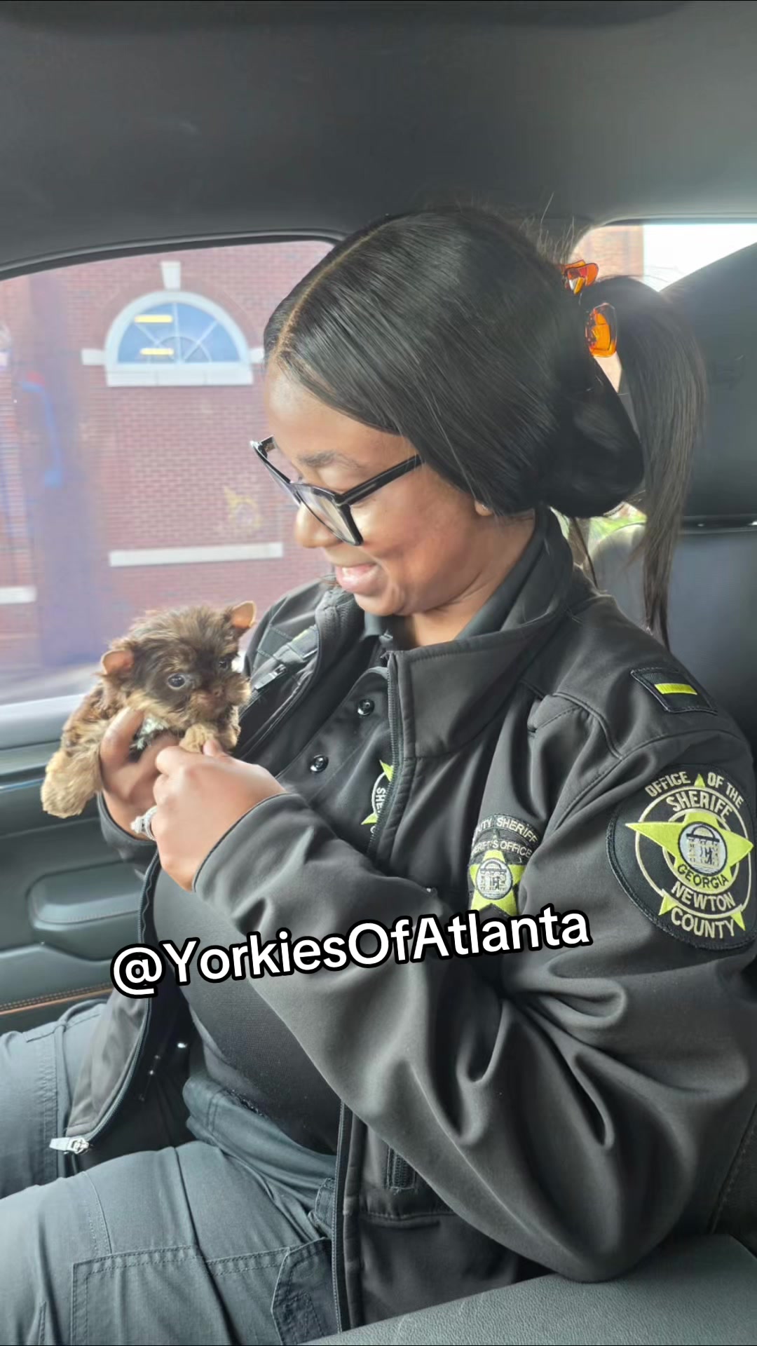 @Yorkies Of Atlanta