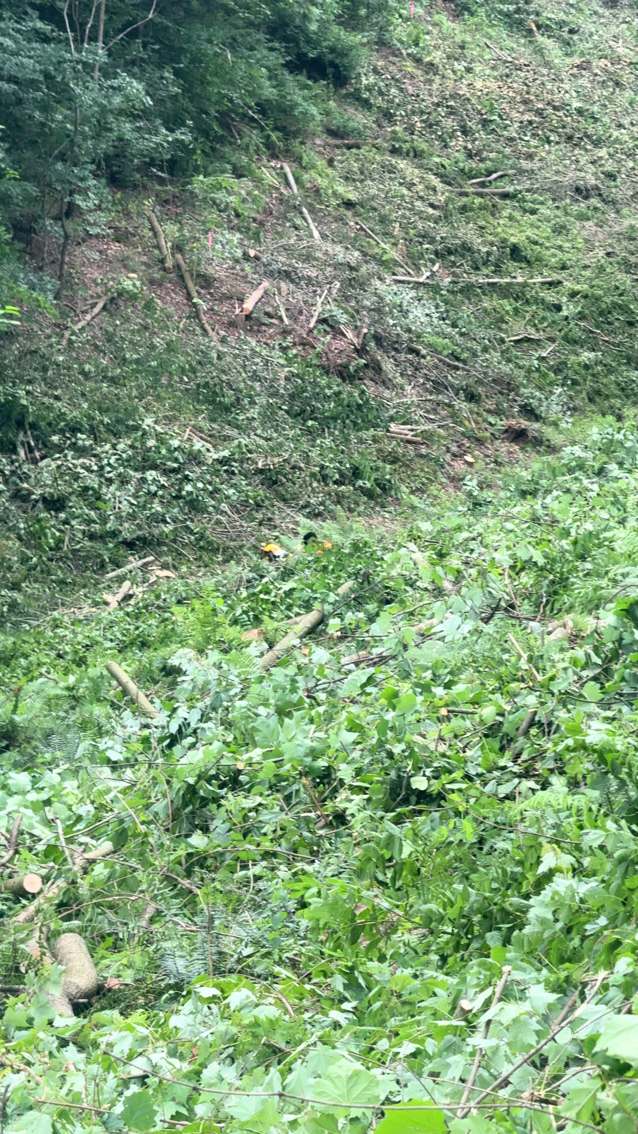 @Carlos GT Videos 🛣️🧗🌲