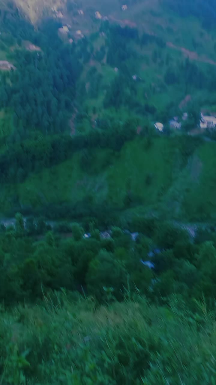 @riazmagray