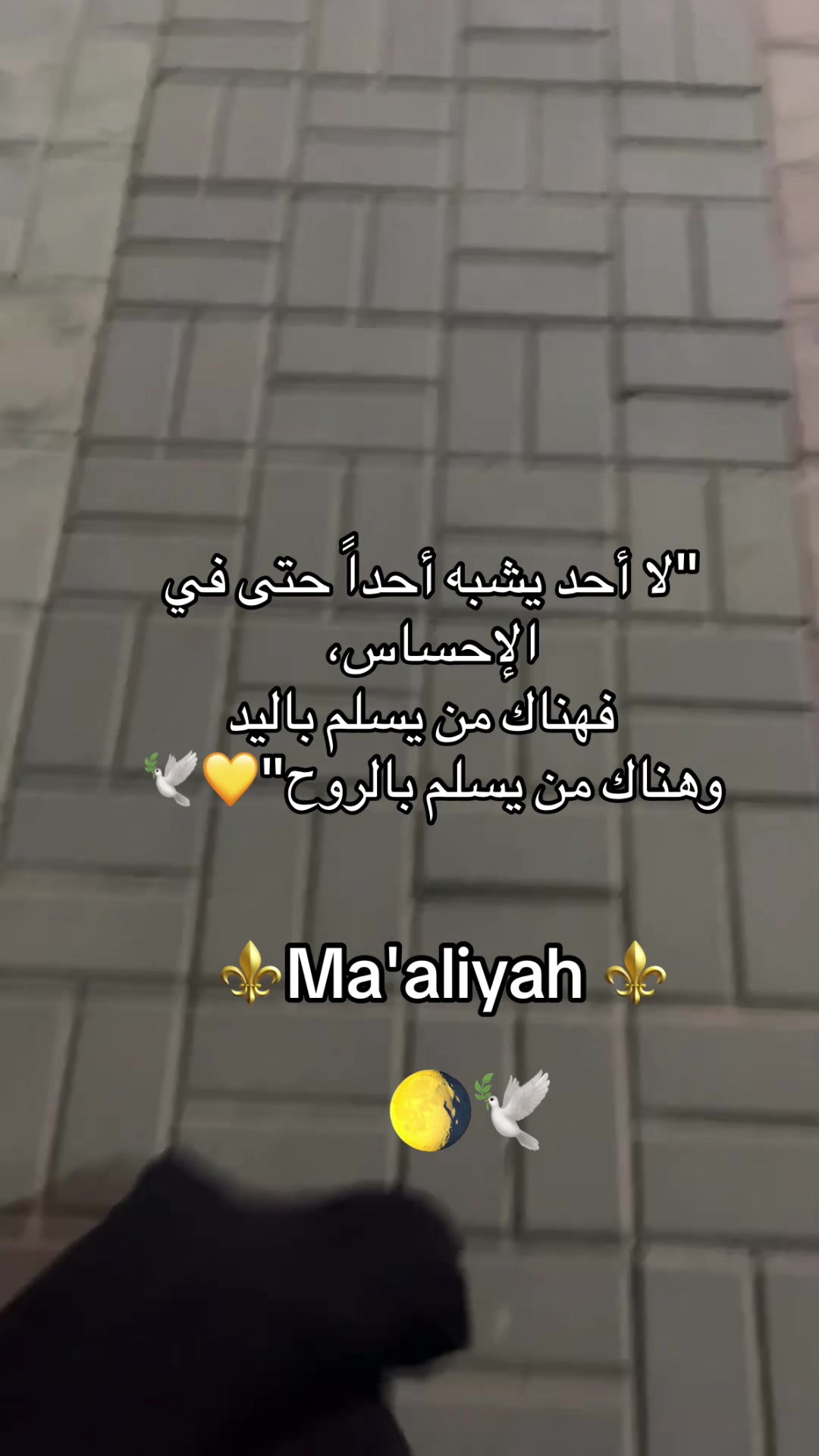 @Ma'aliyah🐆🐆🌕