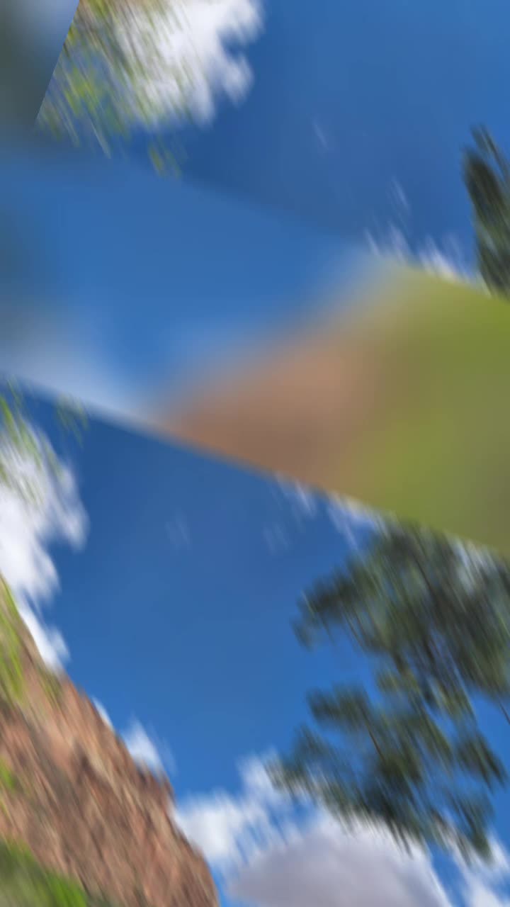 @thschic