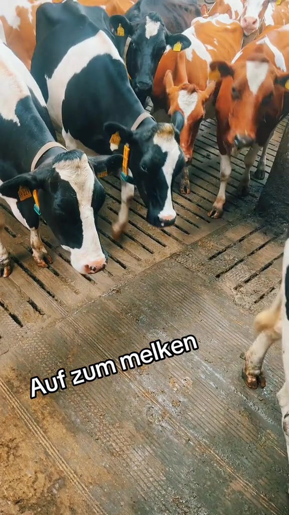 @Ela