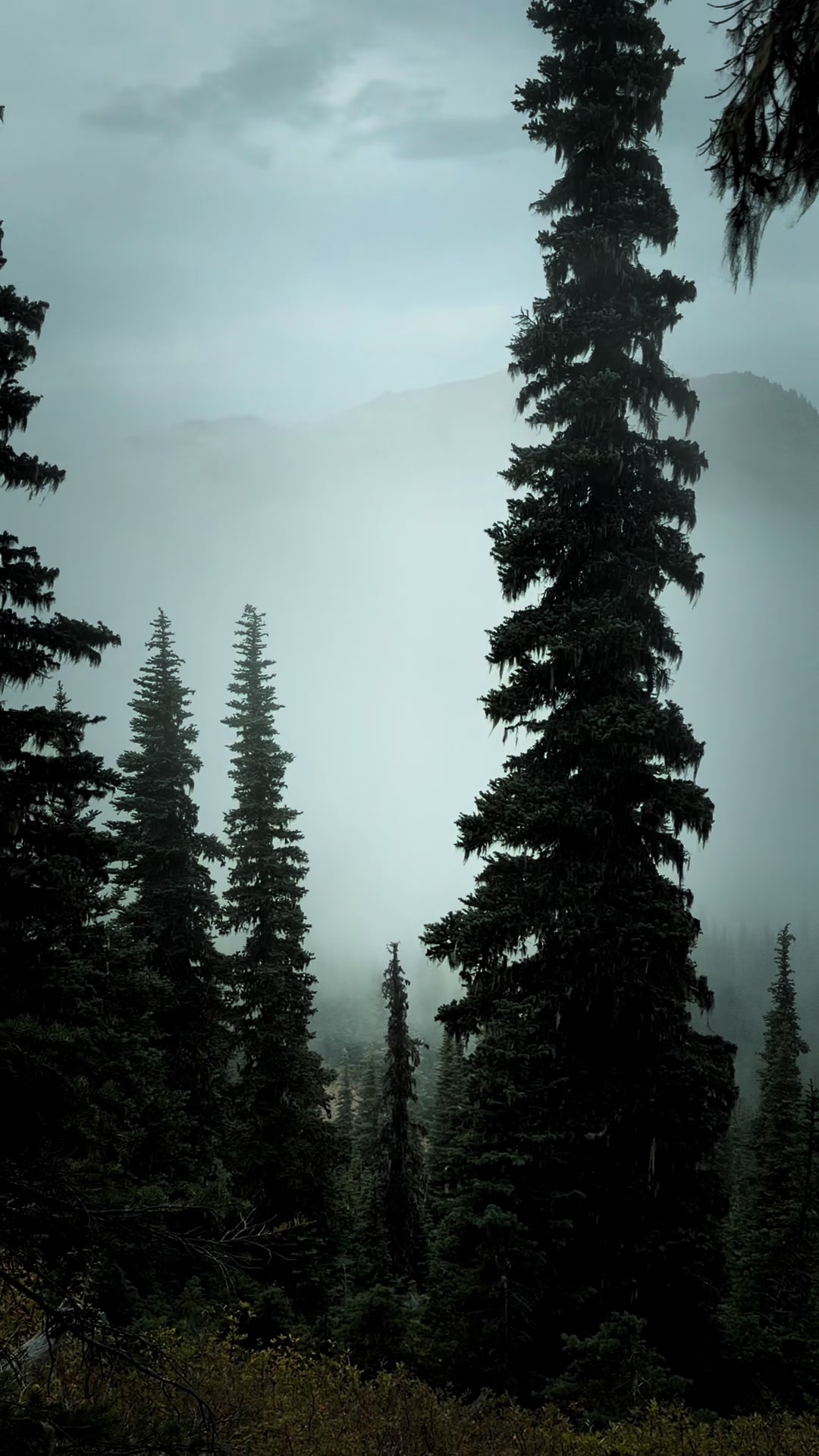 @Jordan PNW Adventures