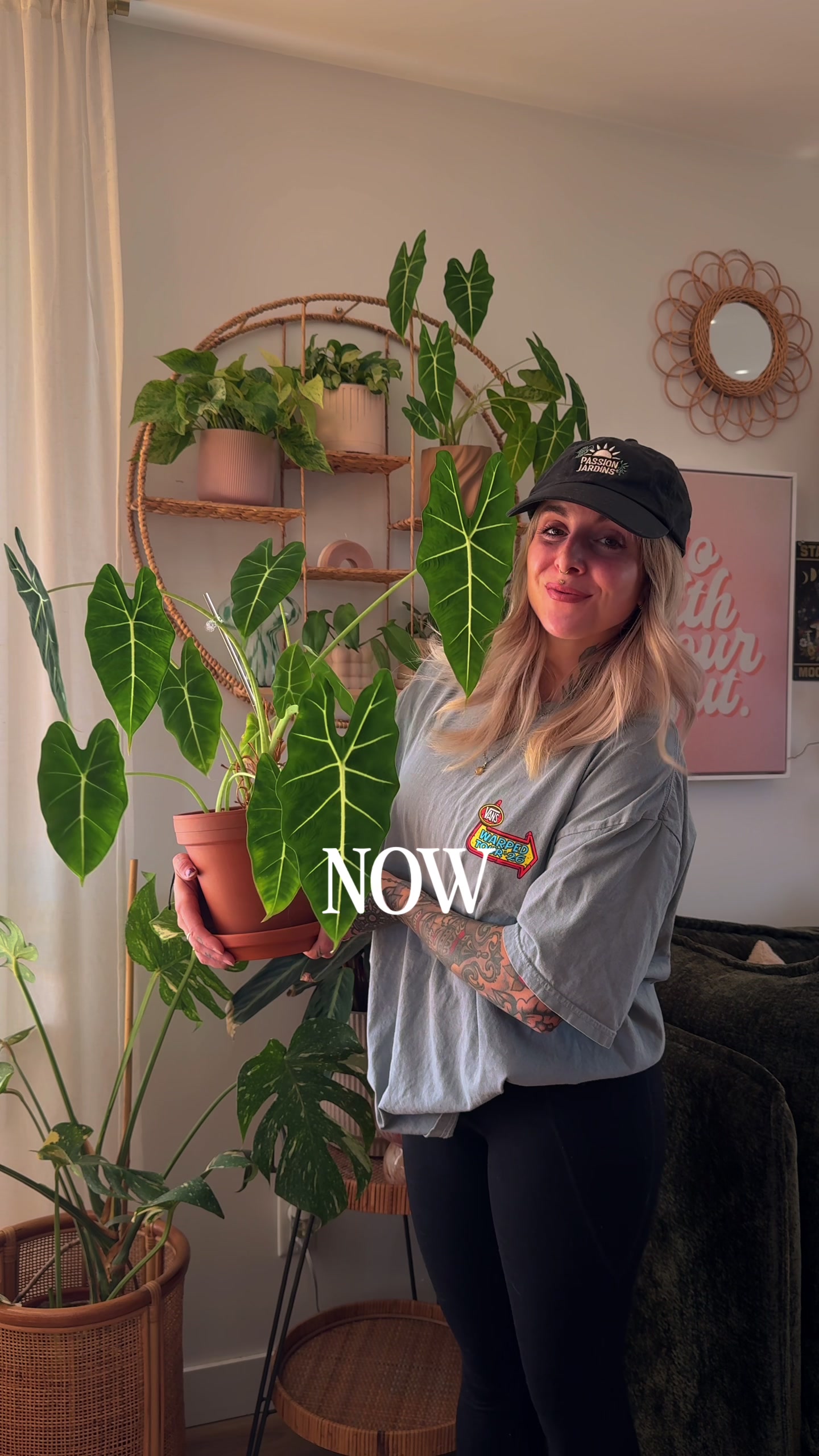 @Laura | Plants & Home decor