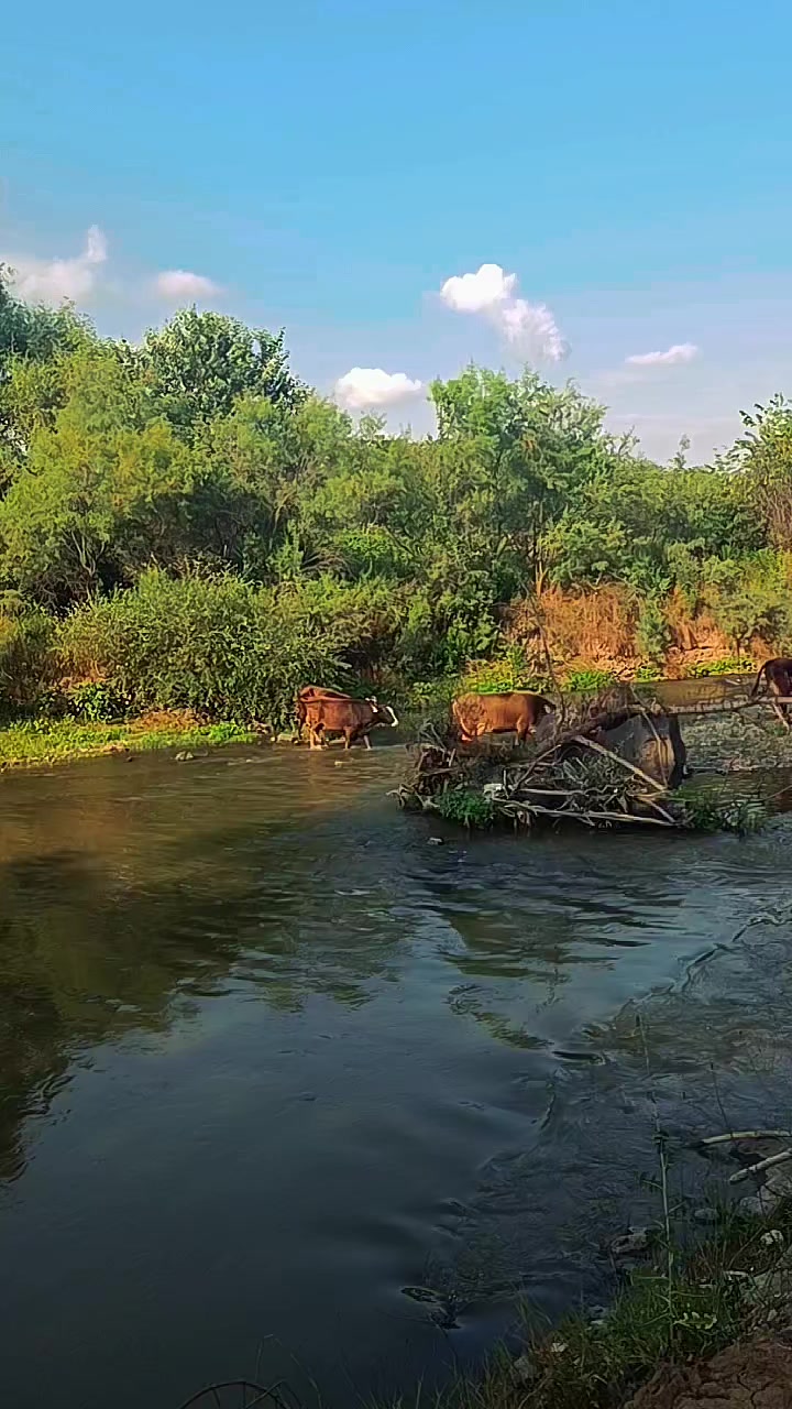 @🇬🇪TOLİK🇦🇿