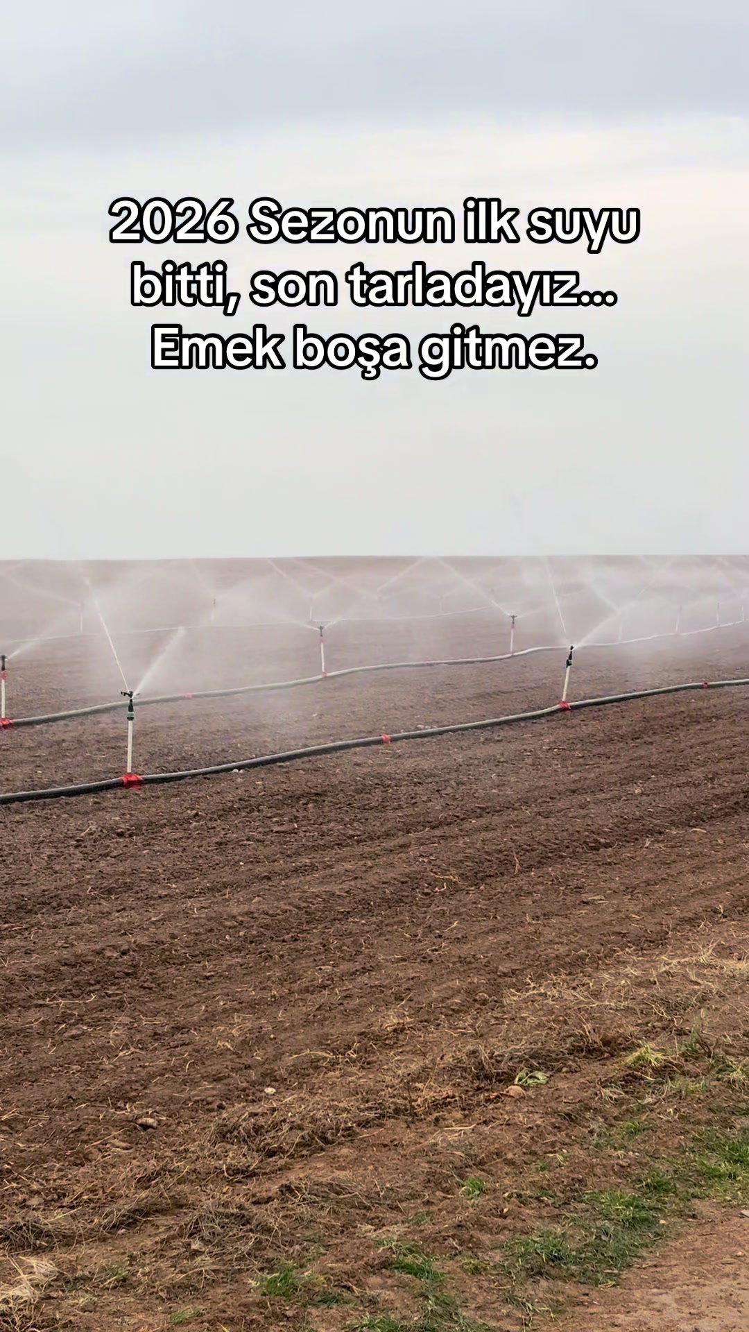 @İsmail EFE