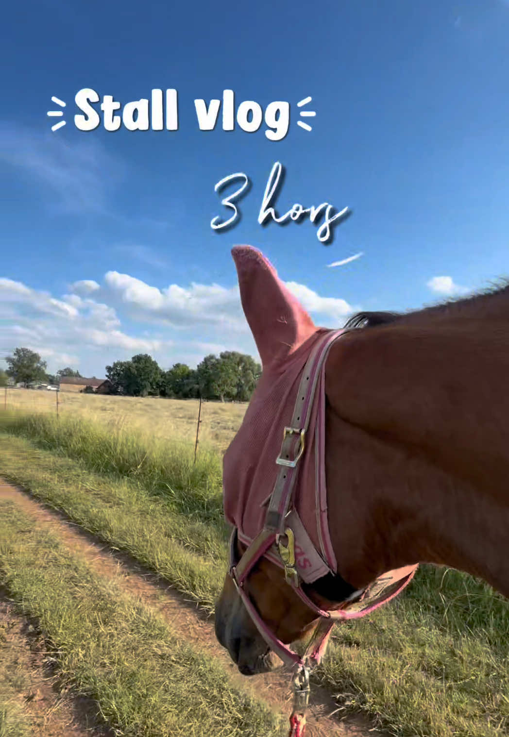 @_leonie_equestrian_