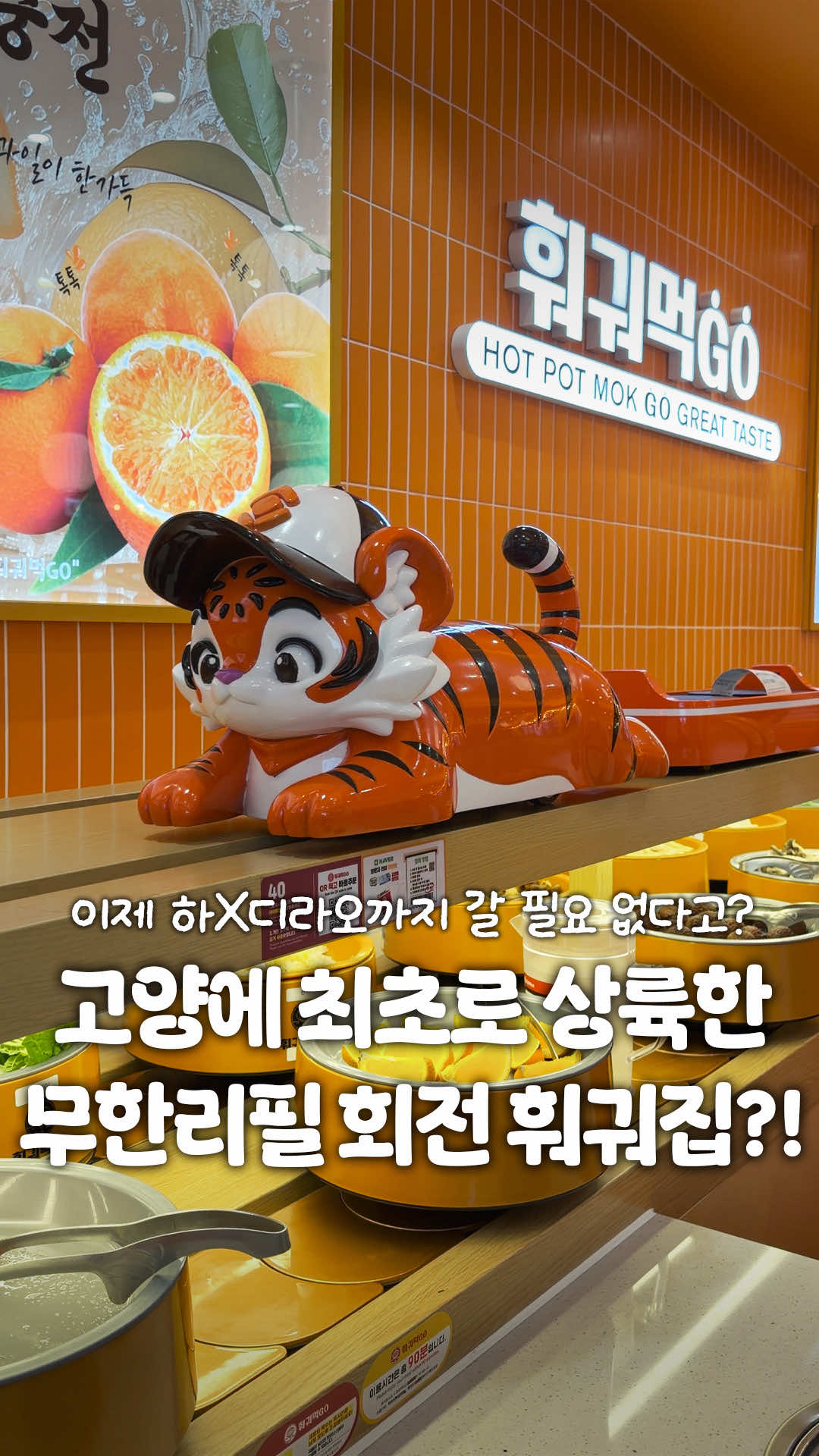 @일산갈고양