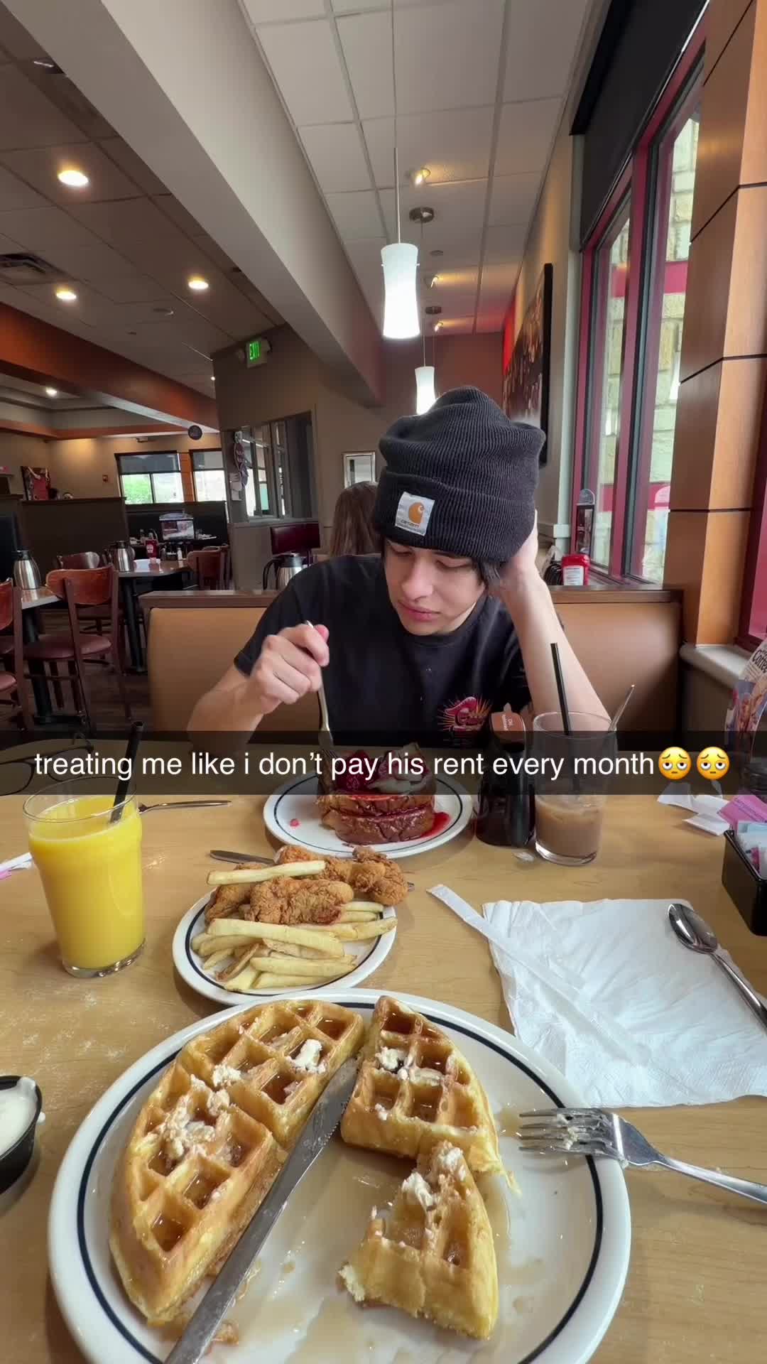 @catbed1