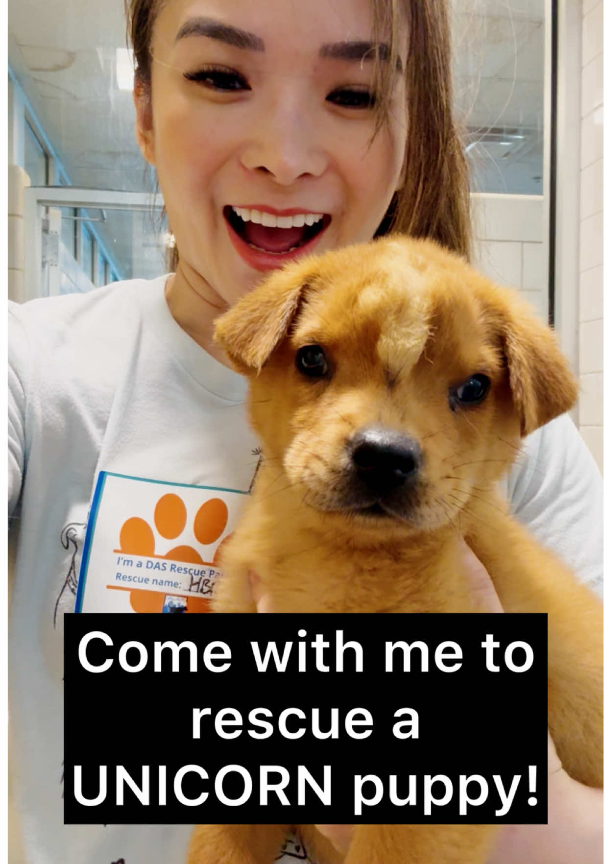 @whitneysdogs