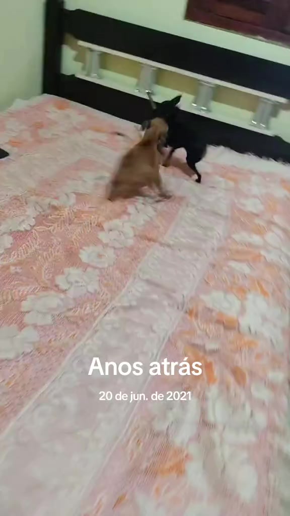 @princesa