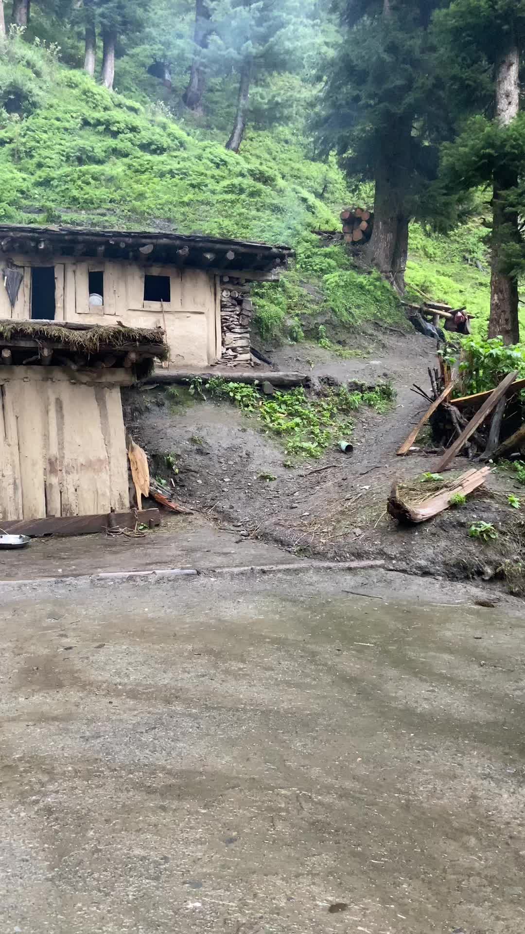 @Khokhar Sarkar 🦅
