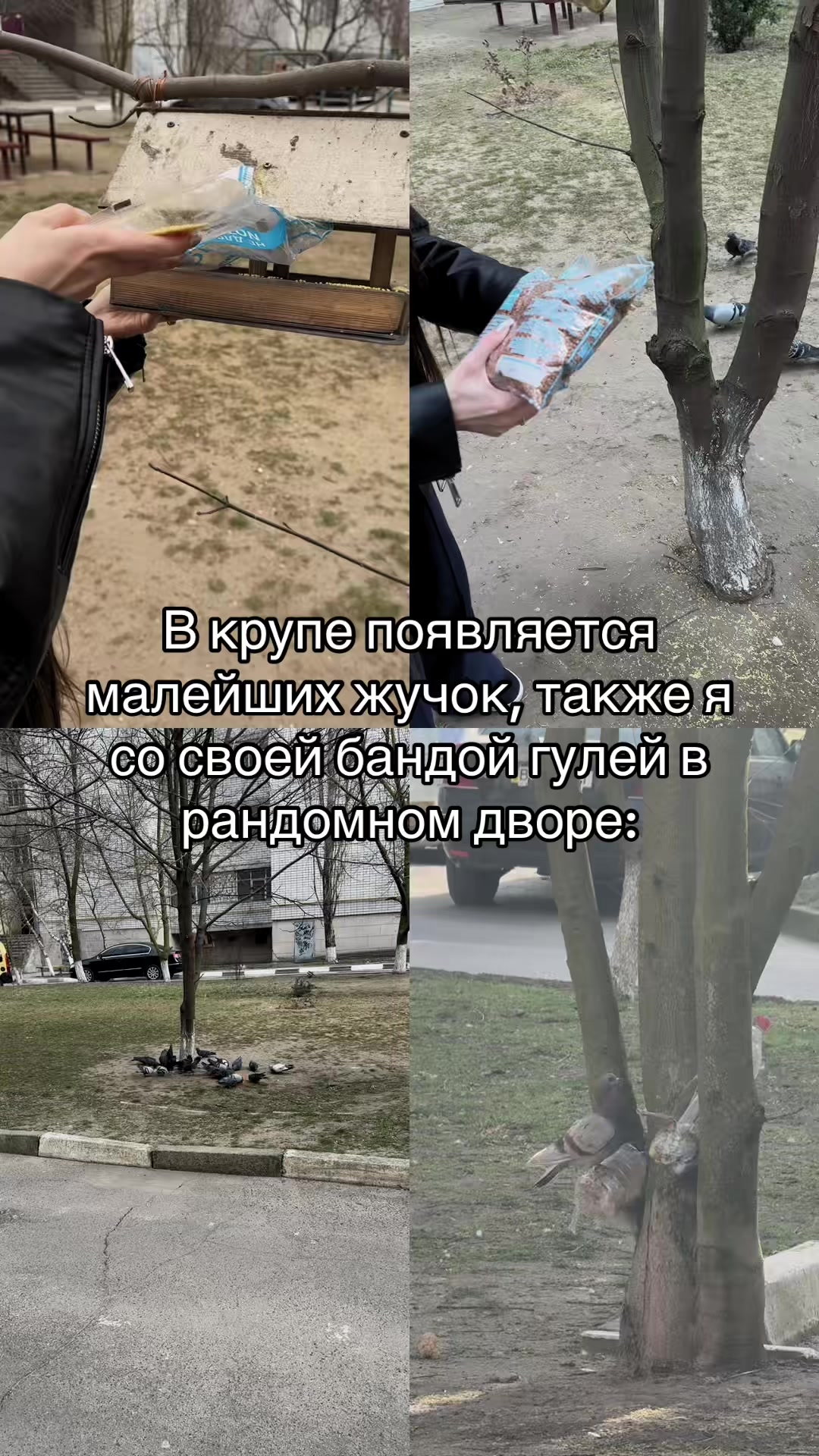 @ВРХ ЛИЗА