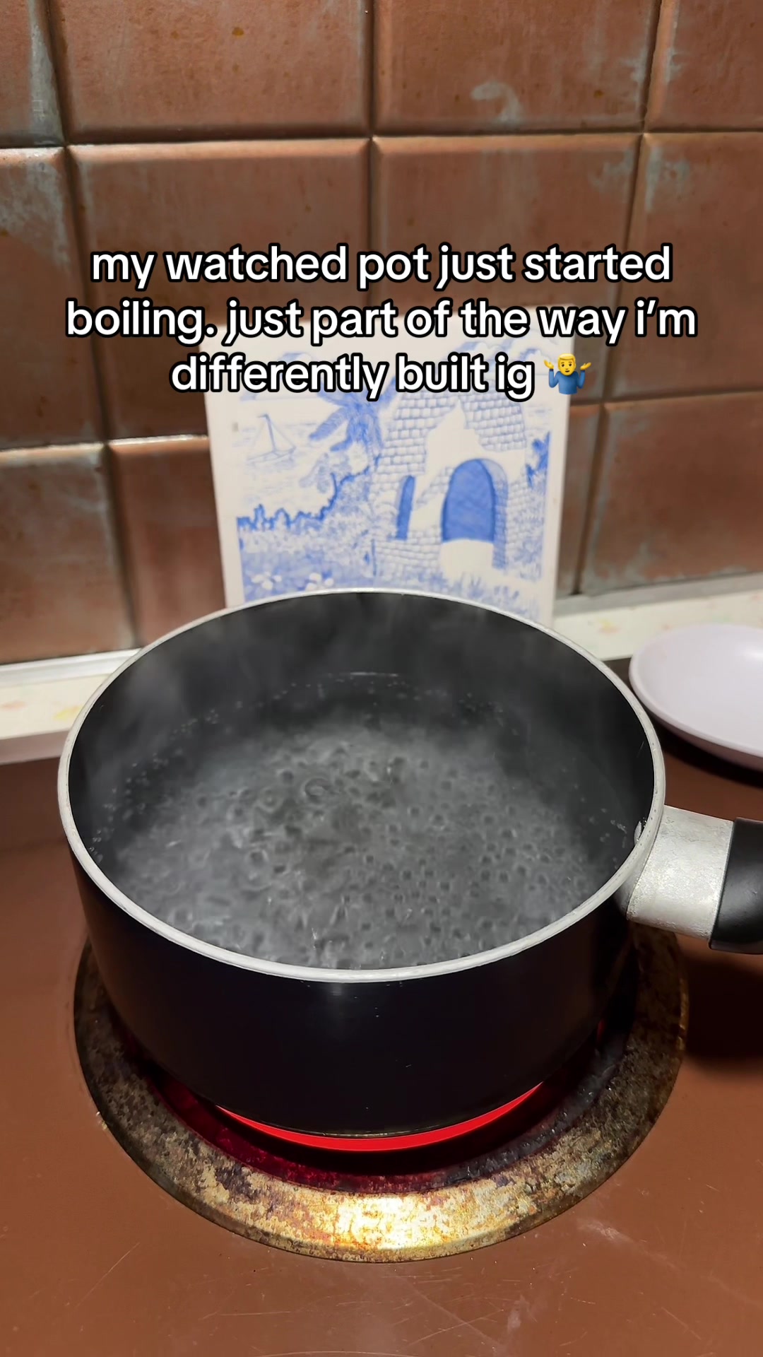 @lily