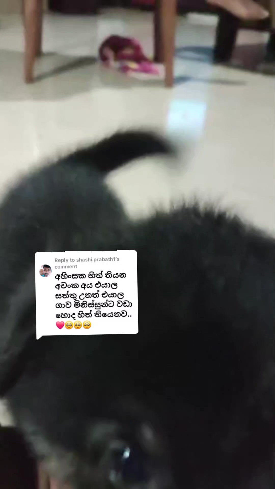 @mahi baba❤️🤭