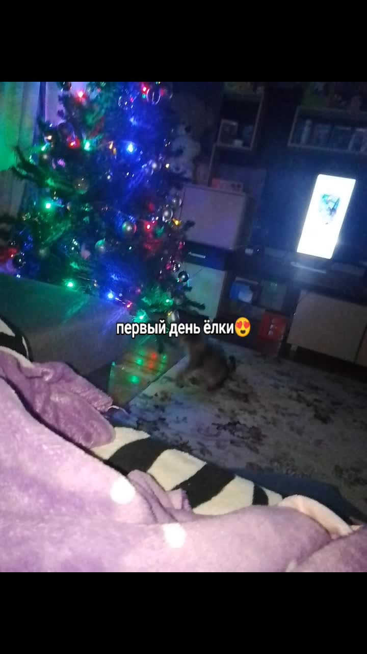 @ShY_riK🤍