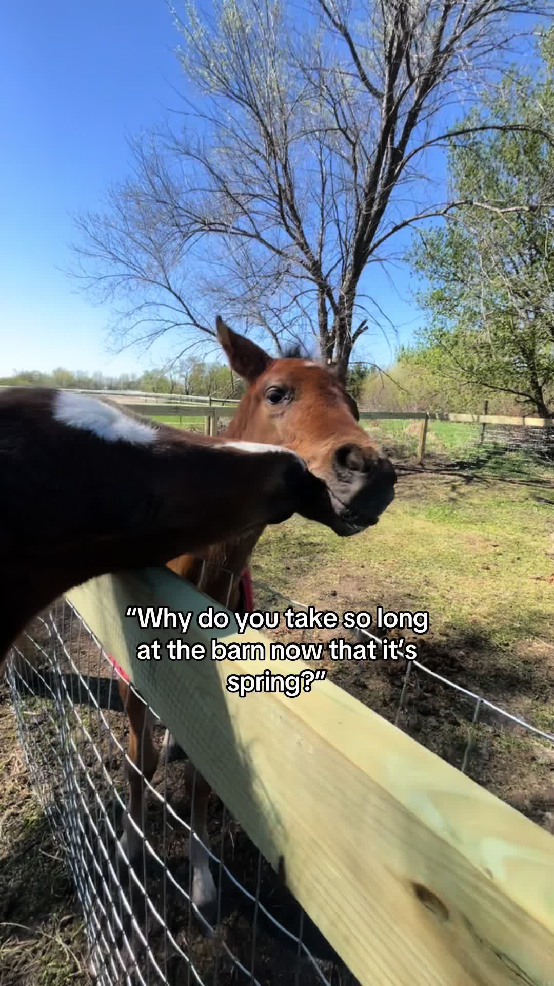 @Addie