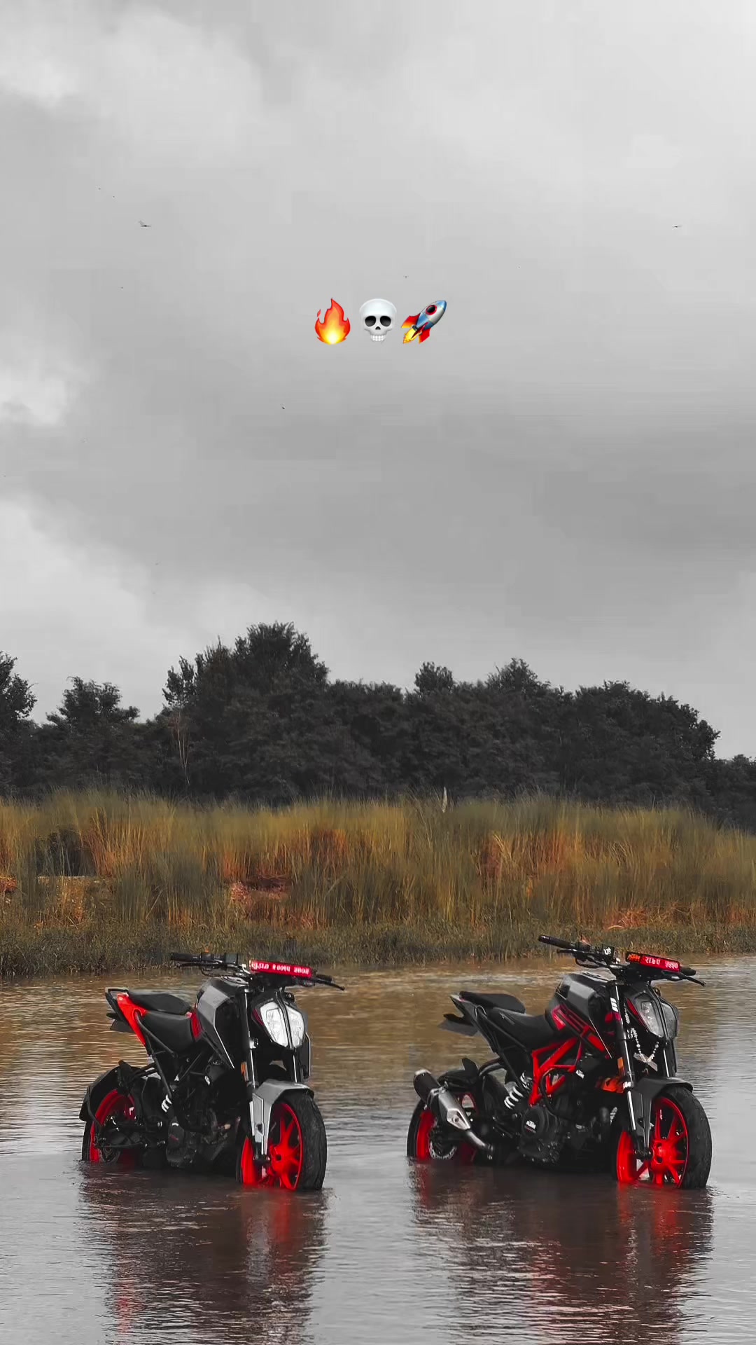 @ＴＯＲＱＵＥ_２５０ 💀