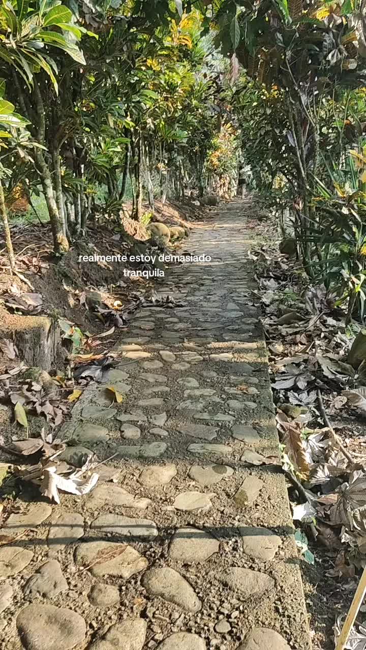@Xiomar🅰️♑🤍