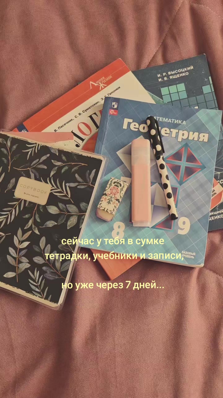 @₊˚𝒂𝒏𝒈𝒆𝒍.𝒓𝒆𝒈𝒊𝒏𝒂˚₊
