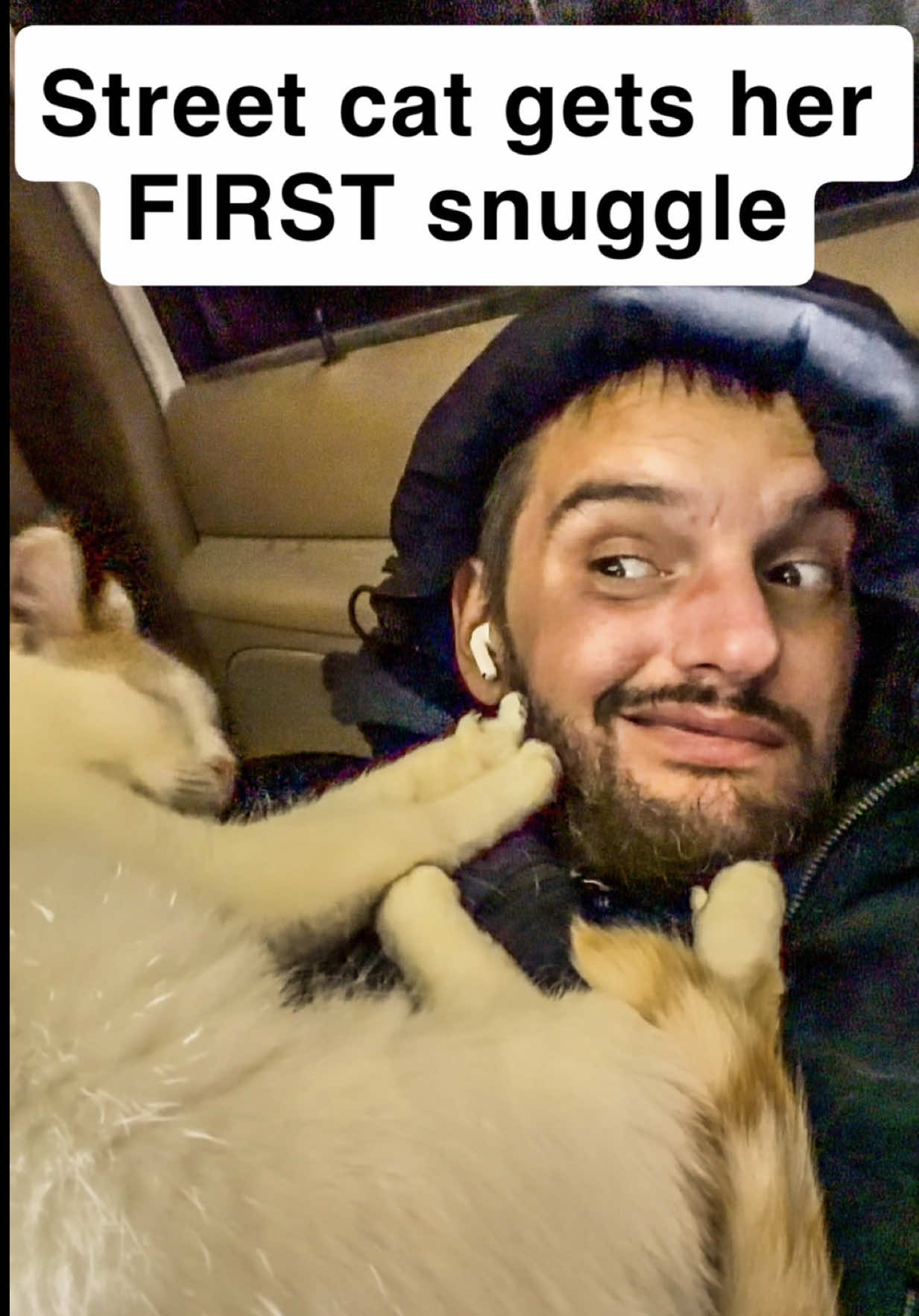 @first class whiskers
