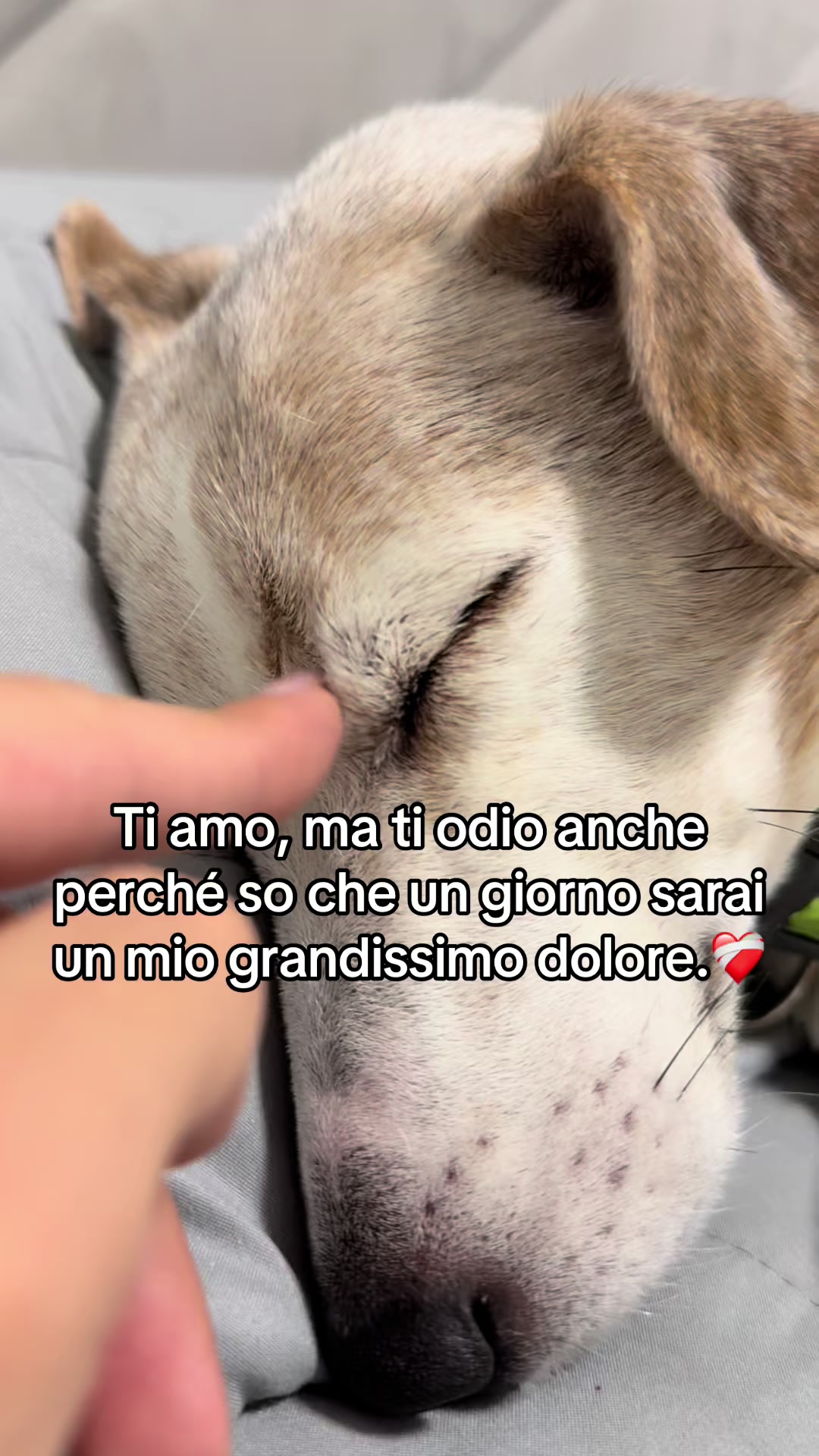 @antonellacaruso1001