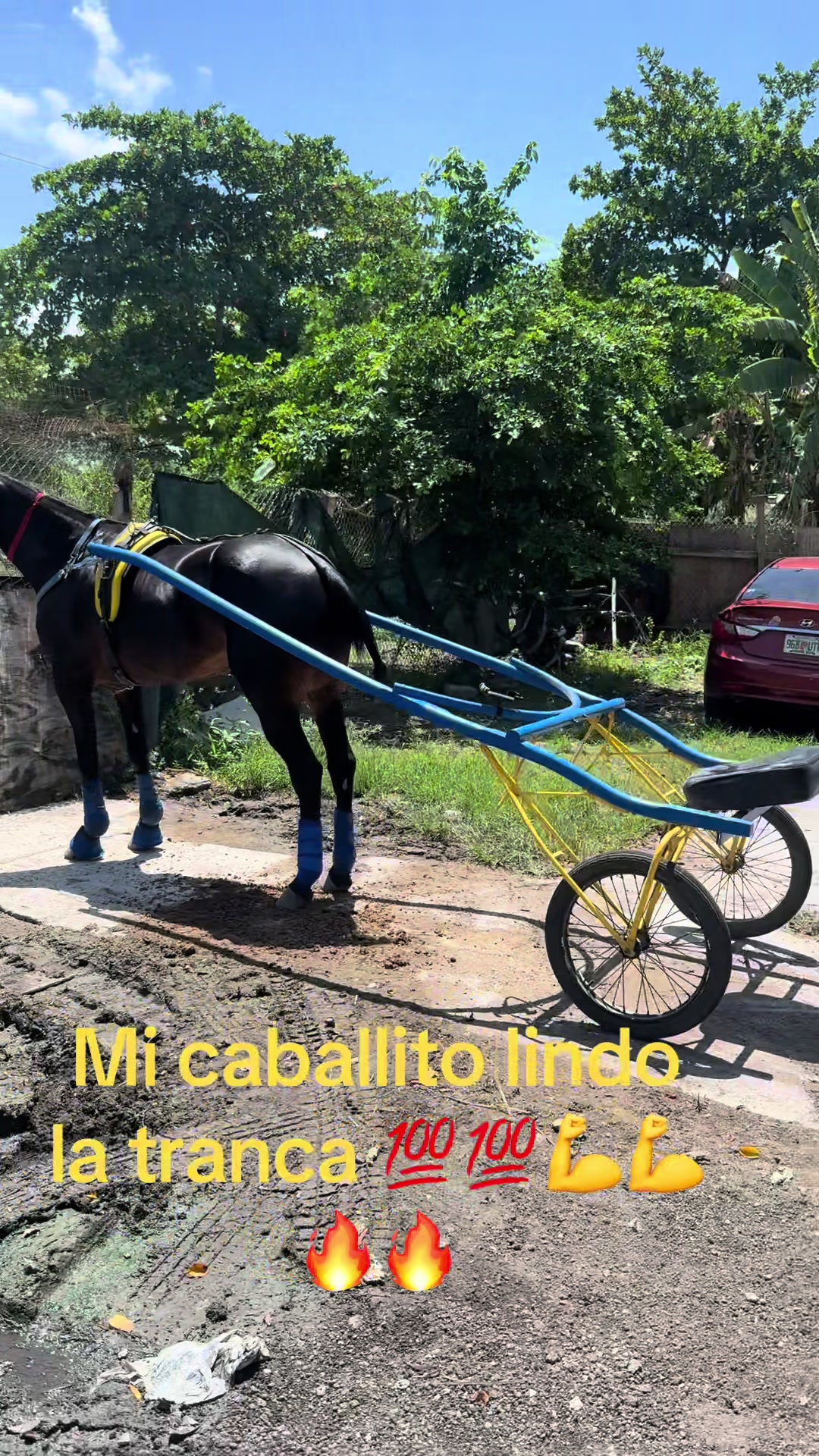@🔥🔥❤️EL FEO ❤️🔥🔥