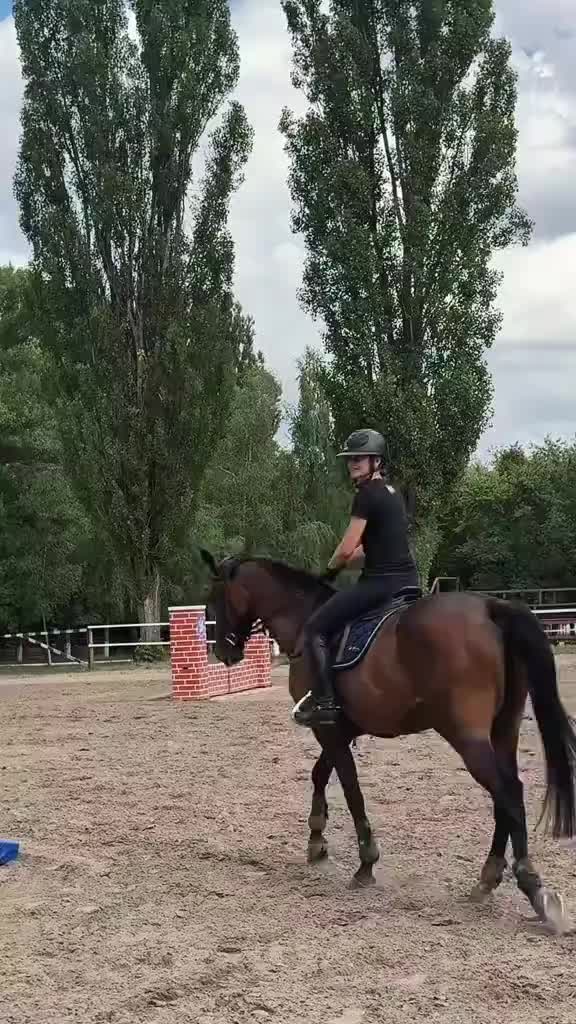 @Desy🐴